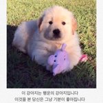 야 얘두라 나 3일뒤에 고백할거다!!!