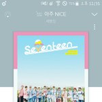 [세븐틴] <b>서치</b>하고싶다