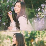 배<b>주현</b>