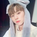 내이상형공통점좀알려주