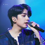 너네 연예인중에 완<b>식인</b> 사람 있음?