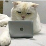 굳<b>모닝</b> 애들아~~