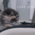 [댓글부탁해] 고2 <b>문법</b> 인강 추천 좀