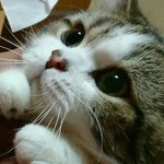 우리 오빠 판에 <b>서식</b>중