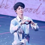 아이돌 춤 춘 박보검