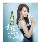 홀앵이 <b>딱풀</b>이 생각하면