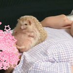 [댓글부탁해] 맥주...맥주요?<b>아사히</b>가...맛있는 것 같은데요?