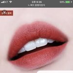 이거 웜<b>톤</b>립이야 쿨톤립이야