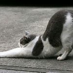 ㅁㅈ <b>뒤태</b> 굿