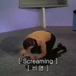 [댓글부탁해] 미대랑 디자이너 포기하려고..