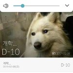 [ㅈㄱㄴ] ㅋ... 게임 때문에 <b>미래</b>를 살고 있어ㅛ음
