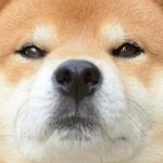 아짜증<b>낭</b>