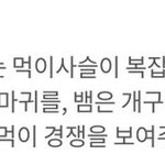 [TXT] 곧 개구리도 <b>나올</b>듯