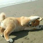 아 총체적<b>난국</b>이다