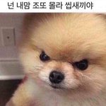 [댓글부탁해] 보통 라이더 자켓 입으면 바지는 뭐<b>입음</b>