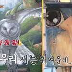 [EXO] 쎈<b>캐</b> 부엉이 뻘하게 터짐ㅋㅋㅋㅋㅋㅋ