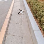 이거 나만 개빡침?