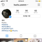[댓글부탁해] <b>울</b><b>집</b> 냥이 인스타계정인데