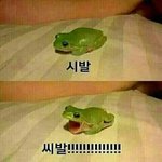 남자애가 계속 쳐다보는 건 <b>무슨</b> <b>의미</b>일까ㅜㅜ추반해주라