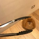 <b>아이폰</b> 8 있잖아