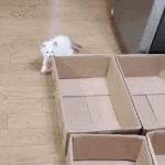 [강다니엘] 뿅!