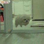 [드루와] 아이폰 <b>x</b> <b>말</b>이야