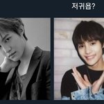 [NCT] 엔시티 웃짤 <b>모아</b>봄 ㅎㅎ 23탄