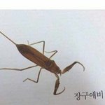 [드루와] 썸남이랑 놀이공원갈껀데