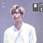 [드루와] 헐 강다니엘 멈무가 아니라 <b>완전</b> 고양이다