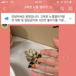 [드루와] 야 미친ㅋㅋㅋ <b>노엘</b> 개웃겨 ㅋㅋㅋㅋㅋ