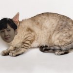 [댓글부탁해] 스카이<b>캐슬</b> 안유명한 대사 써보자