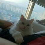 [댓글부탁해] 남편 자고있을때 울집 고양이와 <b>한컷</b>,,,찍었어요^^