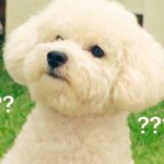 [EXO] 난 <b>분명</b> 아까 콜라를 마셨는데 이상하네