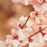 어퓨 싹쓸이할건데 제품 추천좀