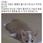 너희가 본 아이돌 <b>직캠</b>중에 이건 레전드다 하는 거