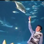 [EXO] 모야 세훈이 수족관 간거 화보 <b>촬영</b>한거였네