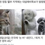 [방탄소년단] 태형이 노래 <b>덕분</b>인지