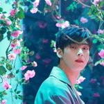 [EXO] 이 <b>사진속</b> 꽃 조환가 이름뭐냐?