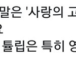 [TXT] <b>튤립</b> 대표적인 꽃말