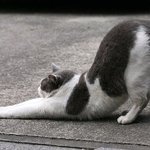 <b>오빵</b>