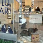 [드루와] 터키 이스탄불에 <b>폭설</b>이 내렸을때 흔히 볼수 있는 광경