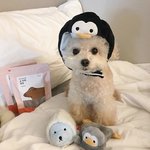 [추반] 3모 준비 vs <b>선행</b> 쭉쭉 나가기