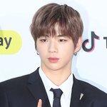 [강다니엘] 기사) 강다니엘, <b>LM</b>엔터테인먼트서 새출발-팬덤명 공모...