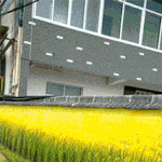 [모두드루와] 중국의 벽<b>화공</b>.gif