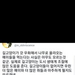 [모두드루와] 길고양이가 하는 <b>일</b>ㄷㄷㄷ
