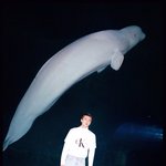 [EXO] 뭐야 오세훈 화보 올렸는데 왜 썰림?