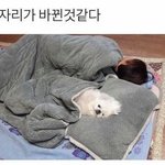 [19] (19)추반 좀 해줘