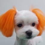 [댓글부탁해] 이글 읽으면 이뻐<b>진대</b> ㅁㅊㅁㅊㅁㅊ 다들어와