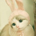 넌 <b>안아</b>보고싶은여자야