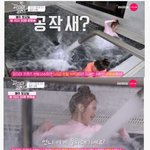 [유머] <b>공작새</b>(?)한테 물따귀 맞은 조이